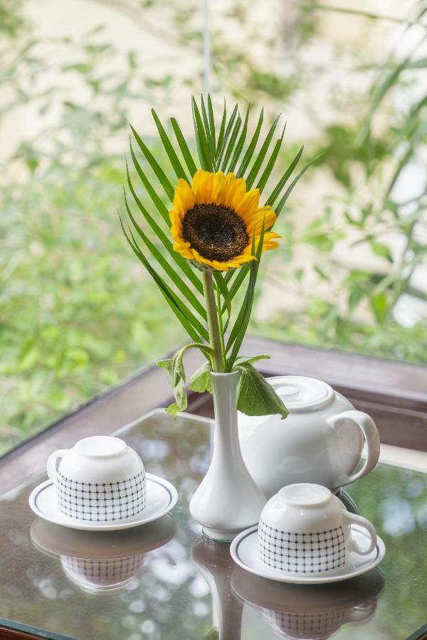 Golden Soulmate Homestay Хой Ан Екстериор снимка